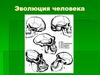 Эволюция человека. Египтопитек