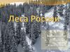 Леса России