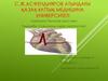 Созылмалы жүрек жеткіліксіздігі
