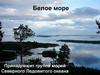 Белое море