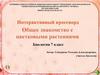 Общее знакомство с цветковыми растениями. Интерактивный кроссворд