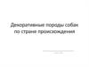 Декоративные породы собак по стране происхождения
