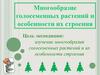 Многообразие голосеменных растений и особенности их строения