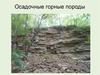 Осадочные горные породы