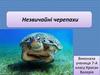 Незвичайні черепахи