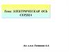 Электрическая ось сердца