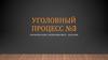 Уголовный процесс №3