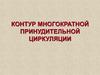 Контур многократной принудительной циркуляции