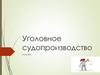 Уголовное судопроизводство
