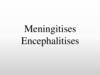 Meningitises. Encephalitises