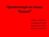 Китайcька Народна Республіка