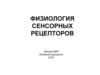 Физиология сенсорных рецепторов. Лекция № 26