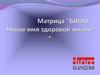 Матрица жизни «БИОМ»
