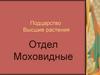 Подцарство Высшие растения. Отдел Моховидные