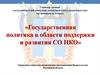 Государственная политика в области поддержки и развития СО НКО