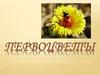 Презентация «Первоцветы»