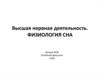 Высшая нервная деятельность. Физиология сна. Лекция № 30