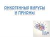 Онкогенные вирусы и прионы