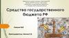 Средства государственного бюджета РФ