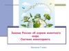 Законы России об охране животного мира. Система мониторинга