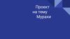 Проект на тему «Мурахи»