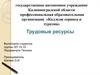 Трудовые ресурсы