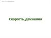 Скорость движения. Вопросы