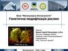 Блок “Молекулярна біотехнологія”. Генетична модифікація рослин