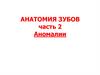 Аномалии развития зубов причины аномалий: нарушение закладки зубов во внутриутробном периоде