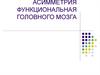 Асимметрия функциональная головного мозга