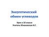 Энергетический обмен углеводов. 10 класс