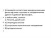 Установите соответствие между основными философскими школами и направлениями древнеиндийской философии