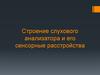 Строение слухового анализатора и его сенсорные расстройства