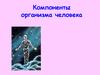 Компоненты организма человека