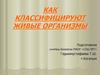 Классифиция живых организмов