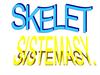 Skelet sistemasy