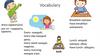 Vocabulary
