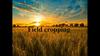 Field cropping