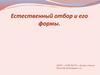 Естественный отбор и его формы
