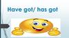 Have got/ has got