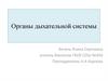 Органы дыхательной системы