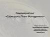 Самомаркетинг «Cybersports Team Management»