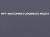 МРТ-анатомия головного мозга