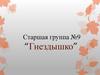 Старшая группа №9 «Гнездышко»