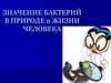Значение бактерий в природе и жизни человека