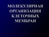 Биологические мембраны
