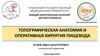 Топографическая анатомия и оперативная хирургия пищевода