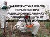 Характеристика очагов поражения при радиационных авариях и принципы защиты от ионизирующего излучения