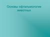 Анатомия и физиология глаза. Основы офтальмологии животных