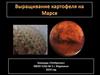 Выращивание картофеля на Марсе